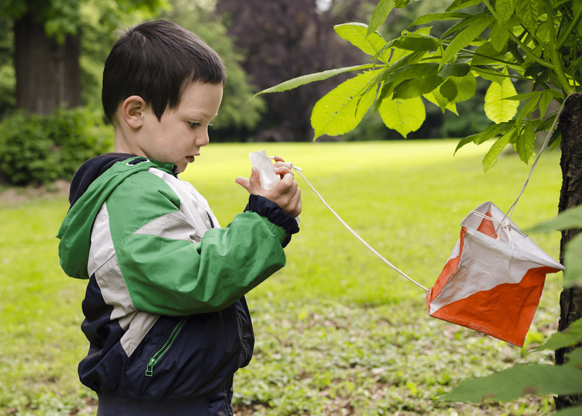 Boy orienteering in primary school