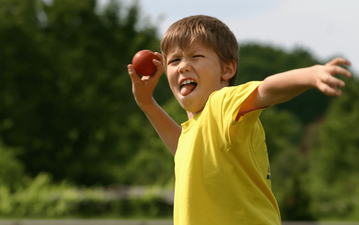 Boy throwing a cricket ball