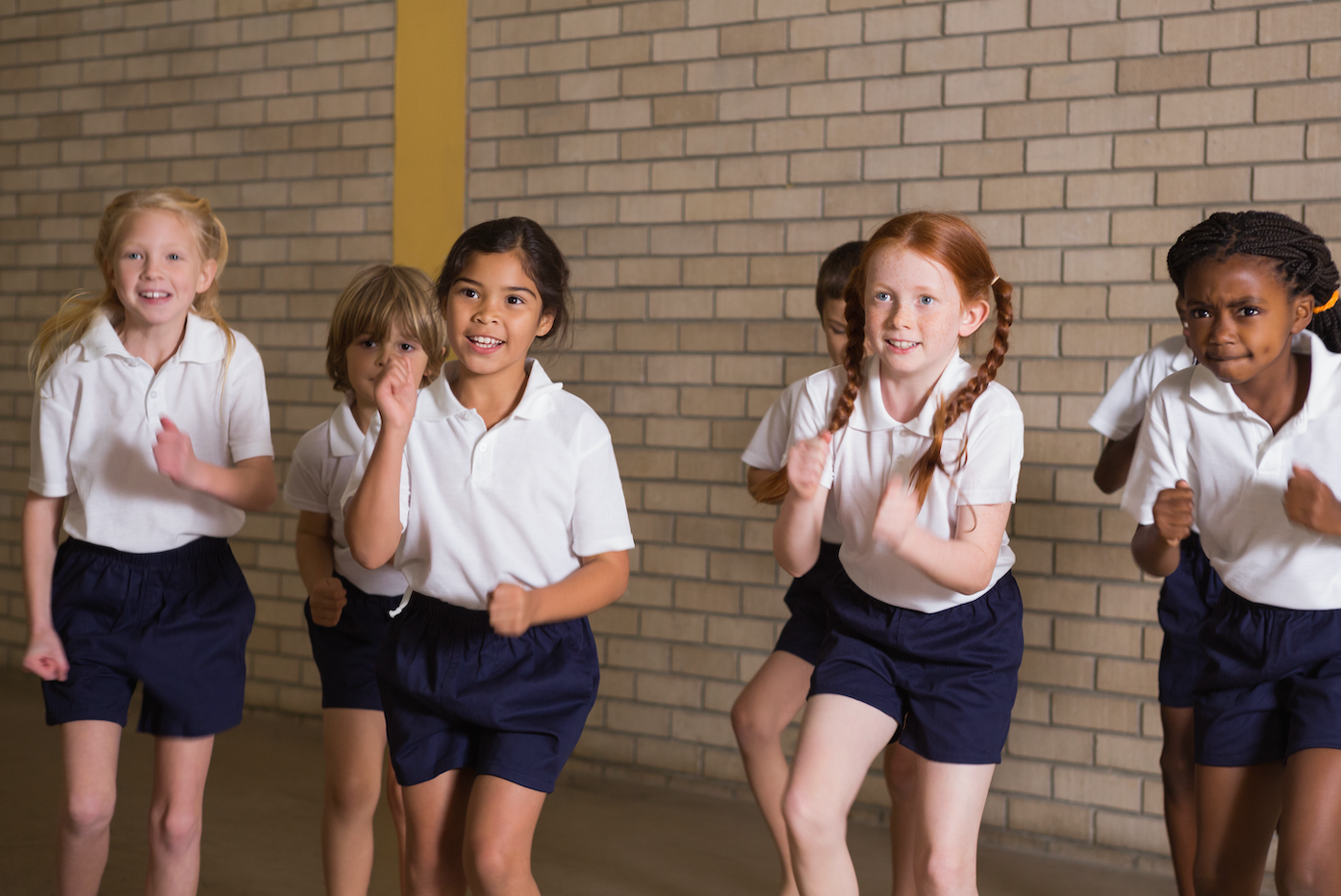 The problems with the push to make PE a core subject