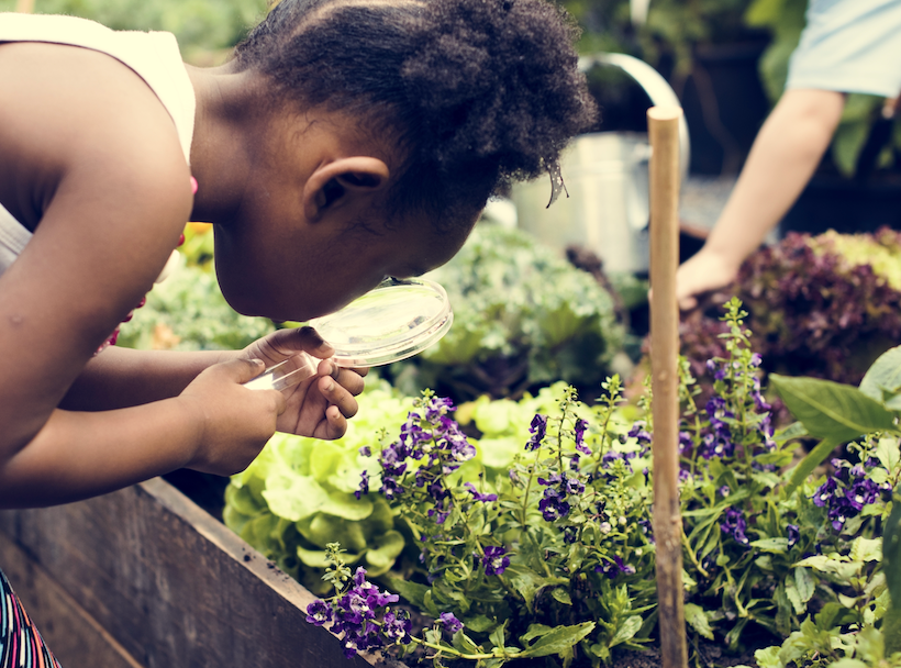 Garden Ideas for Kids