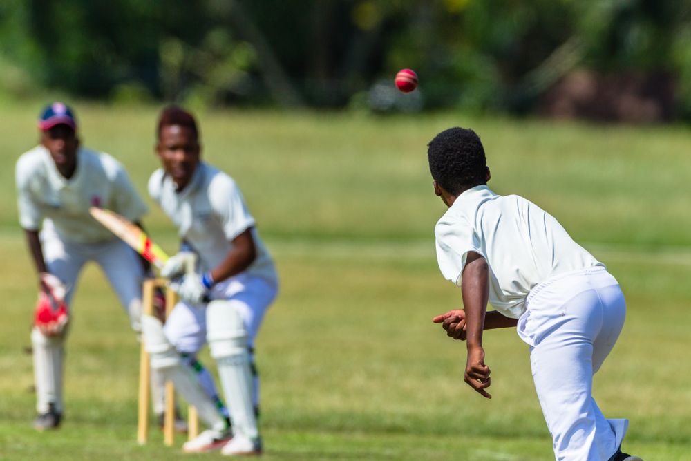 circket bowler batter wicket keeper