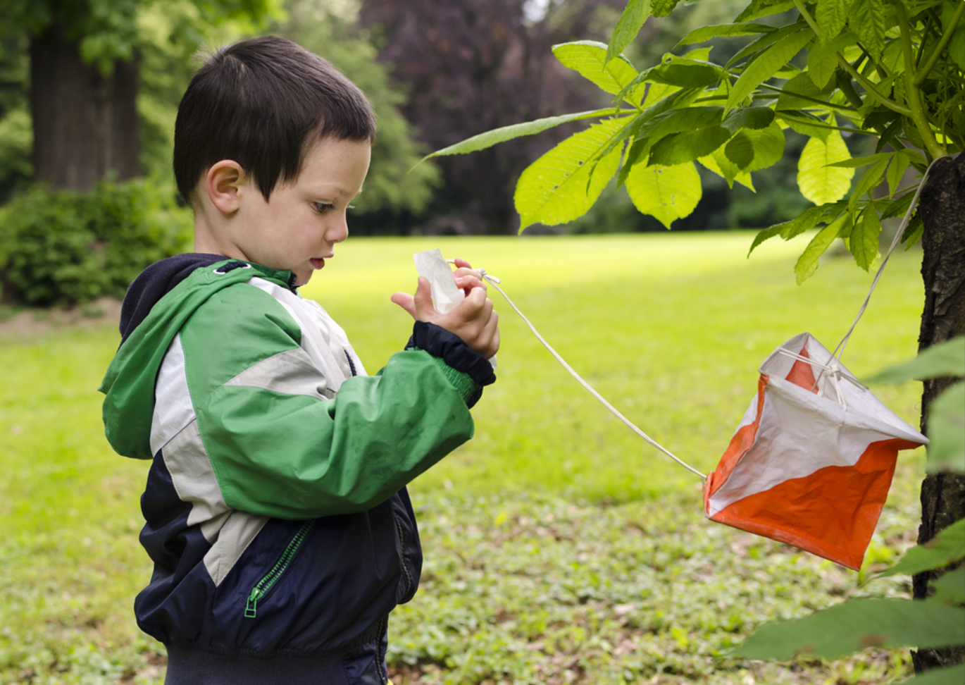 boy orienteering