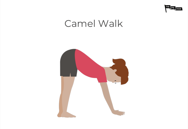 An illustration of the Camel Walk movement