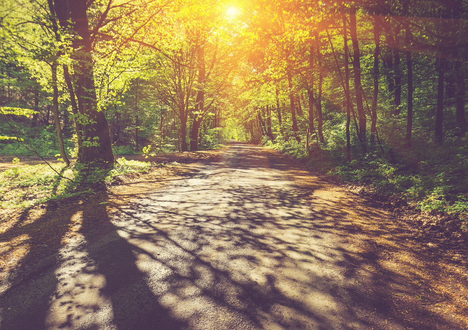 Oaa Examples Discover OAA: Outdoor Adventurous Activities | The PE Hub