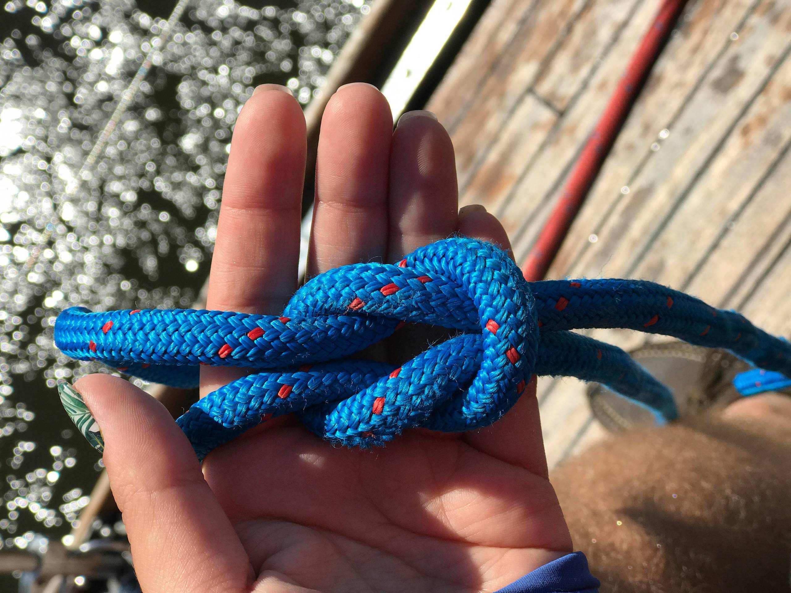 A reef knot