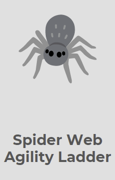 Spider Web Agility